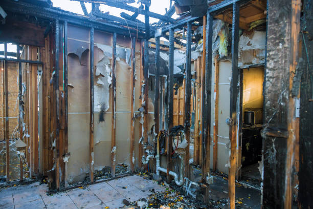 Professional Smoke Damage Removal technician working in Trappe, PA